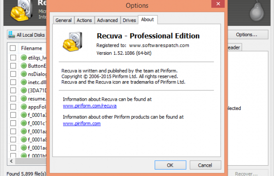 Recuva Professional Key