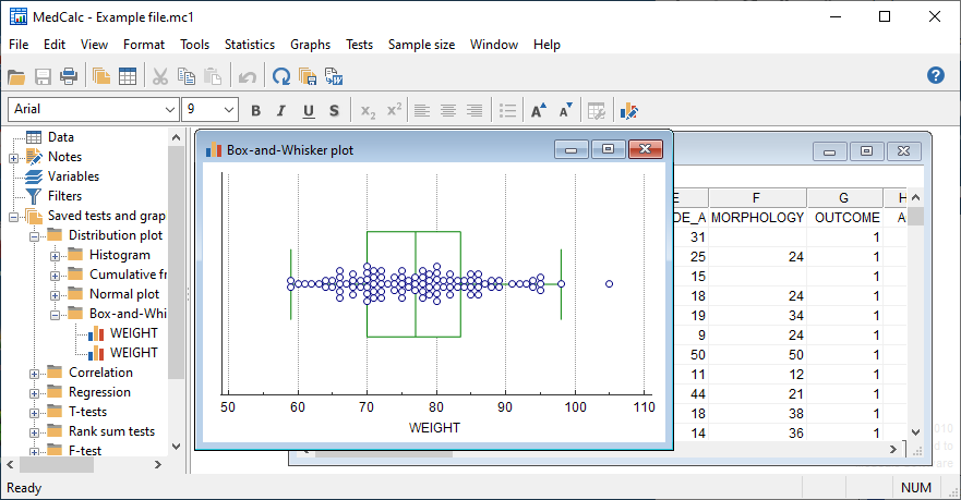 MedCalc Product Key